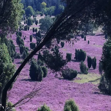 Garbers-hof Διαμέρισμα Undeloh