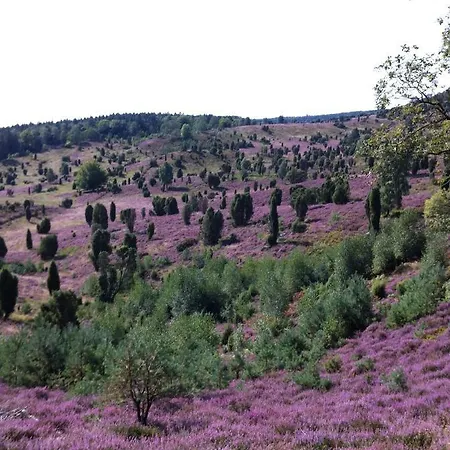 Garbers-hof Διαμέρισμα