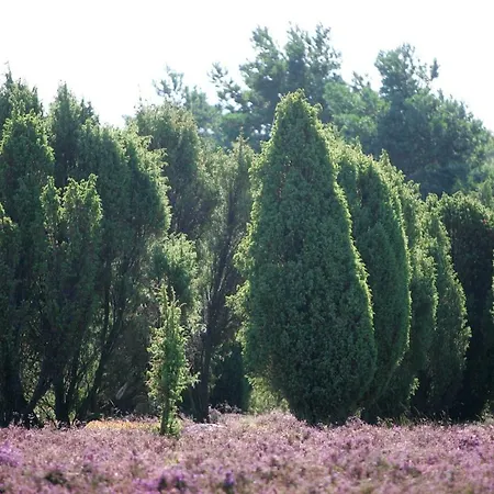 Garbers-hof Apartmán *