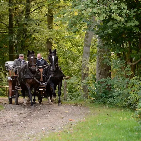 Apartmán Garbers-hof *