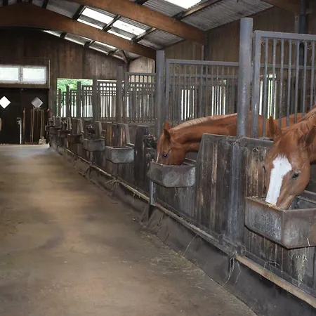 Garbers-hof Apartmán *